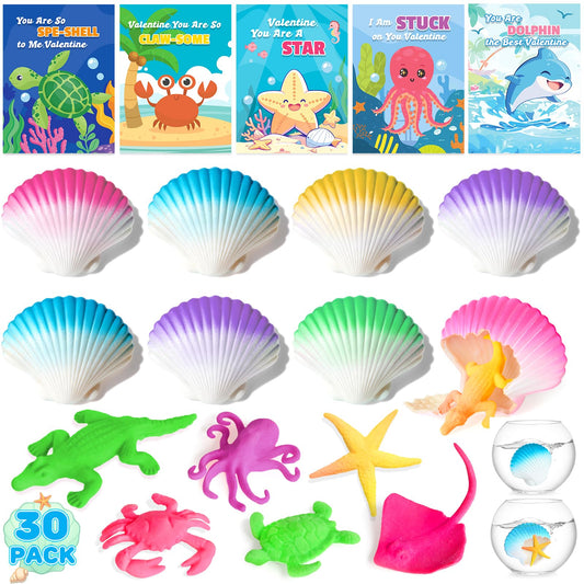 TooyBing seashell bundle in vibrant colors for classroom Valentine gifts