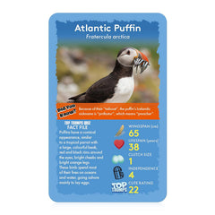 Top Trumps Birds of the World Atlantic puffin clutch size image supports learning scales and comparison skills