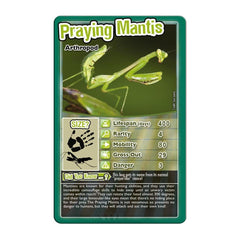Top Trumps Bugs black widow card – striking spider image for curious learners
