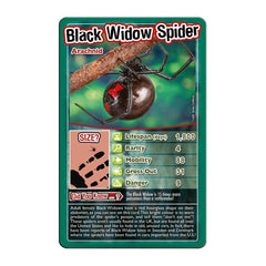 Top Trumps Bugs ladybird card – kid-friendly comparisons for learning fun
