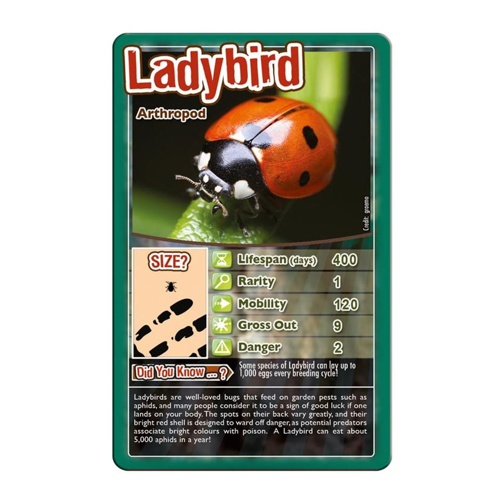 Top Trumps Bugs tarantula card – bold artwork and quick facts for play