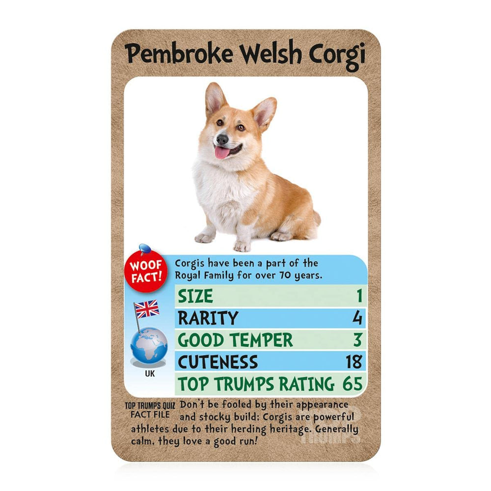 Top Trumps Dogs outdoors at park or beach with friends