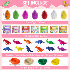 TORONTOKYO hatching dino eggs 28-pack shows suspenseful reveal for hands-on science play.