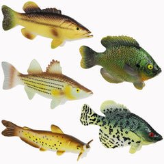 Toy Fish Factory American Angler collection box with five realistic fish figurines for learning
