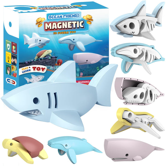Toycost magnetic ocean turtle demonstrates split design for hands-on learning.