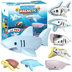 Toycost magnetic ocean turtle demonstrates split design for hands-on learning.