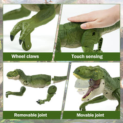 ToyFuntasy RC dinosaur lights enhance nighttime storytelling and drama.