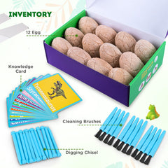 Toyk 12 dinosaur figures inside eggs enables immersive pretend archaeology.