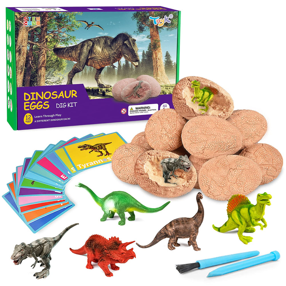 Toyk Dig Up Dinosaur Eggs Kit with 12 dinos fosters hands-on paleontology exploration.