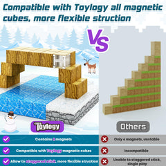 Toylogy Magnetic Blocks Easy-Use 3+ demonstrates safe, intuitive construction.