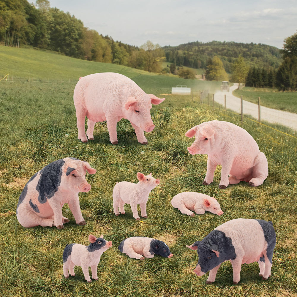 Toymany farm pig set ideal for birthday gifts and classroom prizes