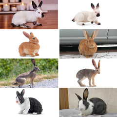 Toymany Easter bunny figure enhances Easter baskets and shelf displays.