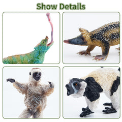 Toymany lowland streaked tenrec figure ideal for collection and pretend wildlife habitats.