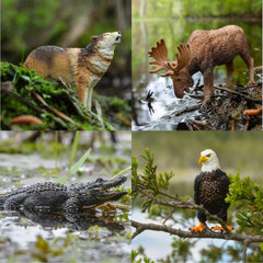 Toymany Eagle figurine soars in art projects and imaginative outdoor adventures