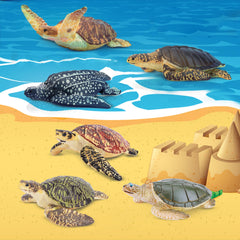Toymany sea turtle figurine 6 ideal for school projects and dioramas