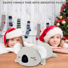 TOYSYM Koala car ride plush creates a comforting travel companion