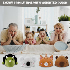 TOYSYM Koala gift packaging-ready design makes a thoughtful present