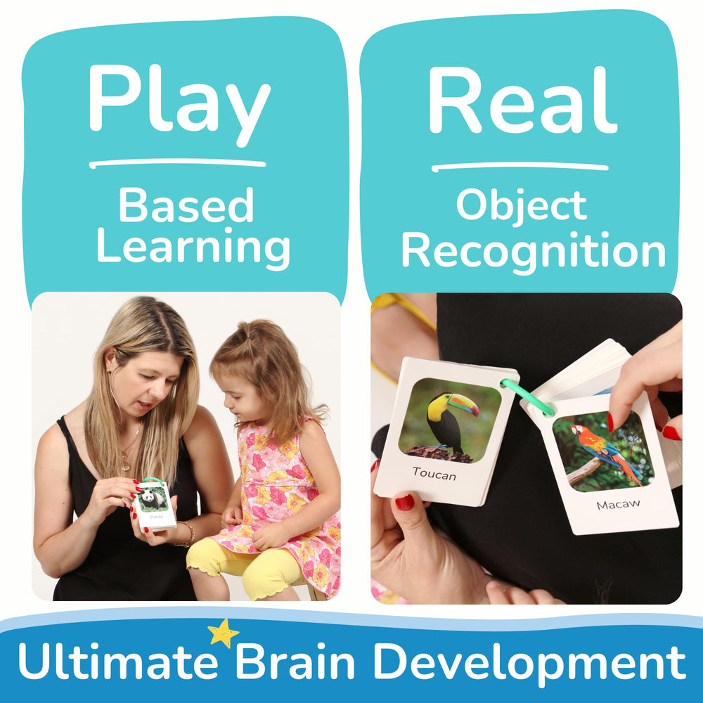 TOYVENTIVE animal and food cards facilitate word association and category learning.