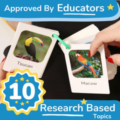 TOYVENTIVE durable laminated cards with real images support confident exploration.