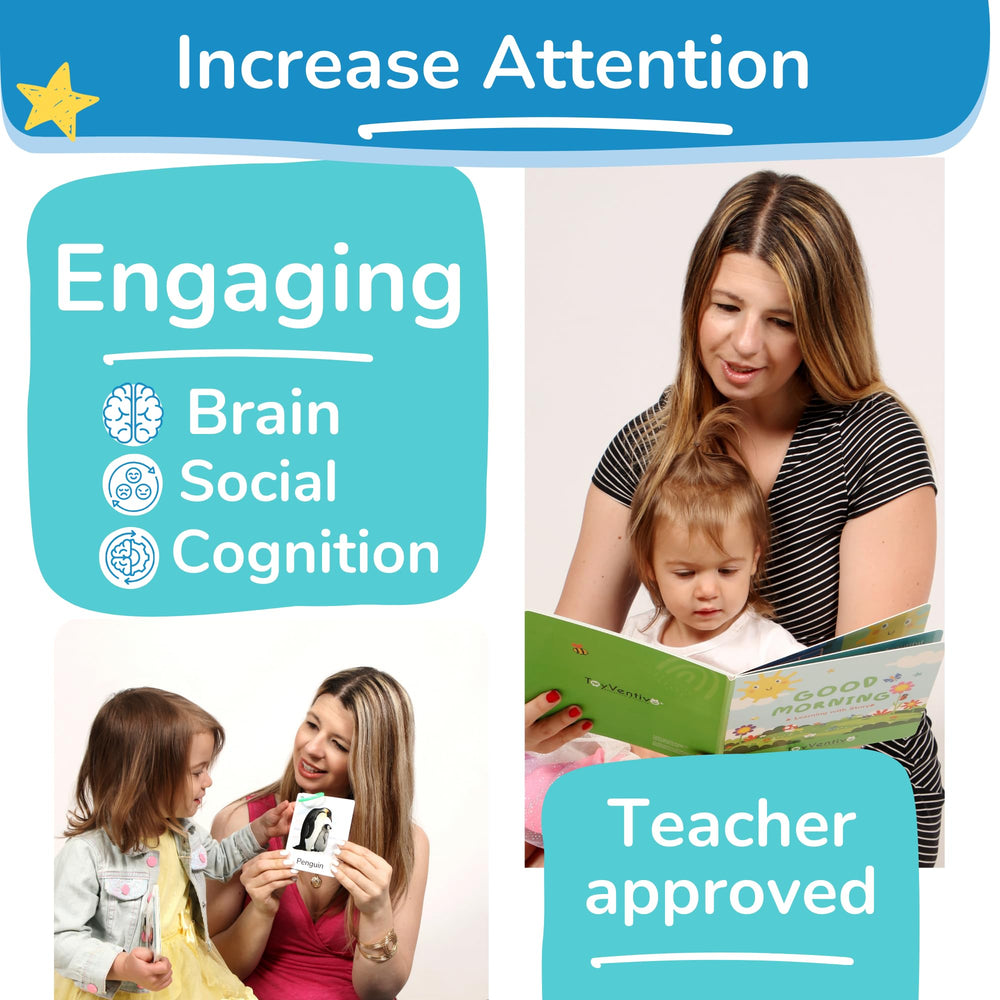 Toyventive flash cards set B supports language development and memory.