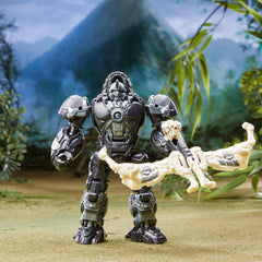 Transformers Beast Alliance 2-Pack packaging shown for collectors.