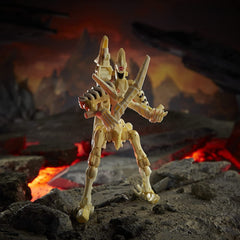 Includes a Golden Disk card with destiny hints for a key character.