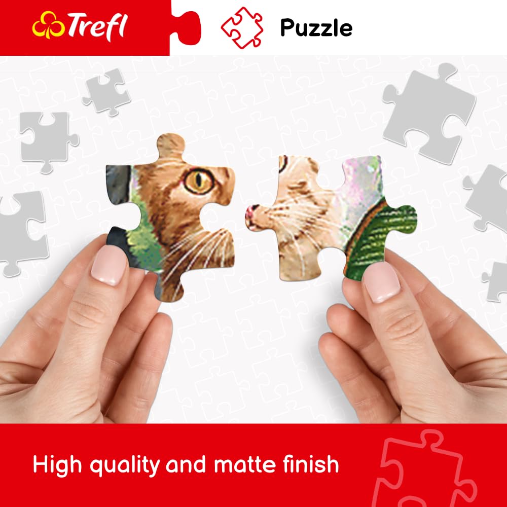 Trefl Alps puzzle gluing and framing concept for wall display