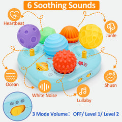 Tsomtto fine motor Montessori ball-match promotes hand-eye coordination.