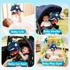 TSYAN car seat toy ocean gift box ready-to-gift presentation.