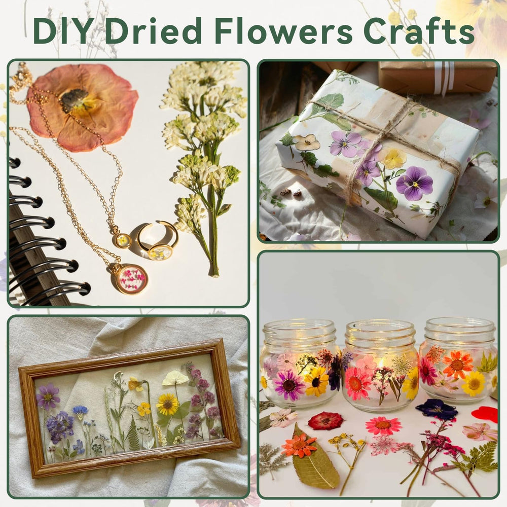 TTUGTTUG Instruction manual guides beginners toward confident DIY projects.
