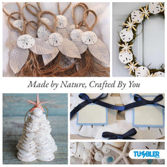 Tumbler Home wedding decor sand dollars shown as elegant accents.