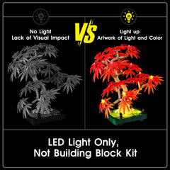 Tusedna LED with QR setup video makes installation quick and clear.