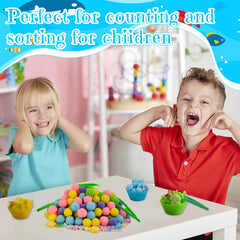 Unvola pearl shell accent aids sensory exploration and early classification.