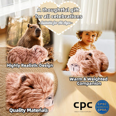 Gift-ready uoozii capybara plush suitable for birthdays and occasions