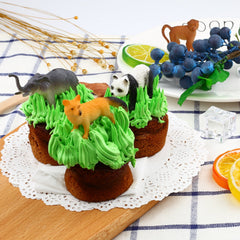 ValeforToy booklet guides simple activities and fosters curious exploration.