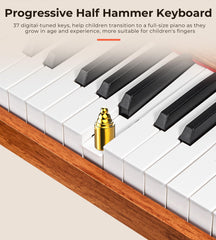 Vangoa illustrated songbook supports easy learning and play ideas.