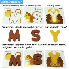 Vankcp letter writing guides on flashcards to support correct formation.