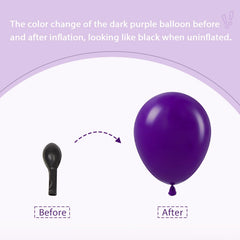 Vicduotex dark purple 10inch balloon closeup emphasizes deep color and durable look.