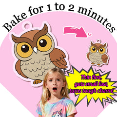 Vicentorra Shrink Fun instruction guide helps families start quickly.