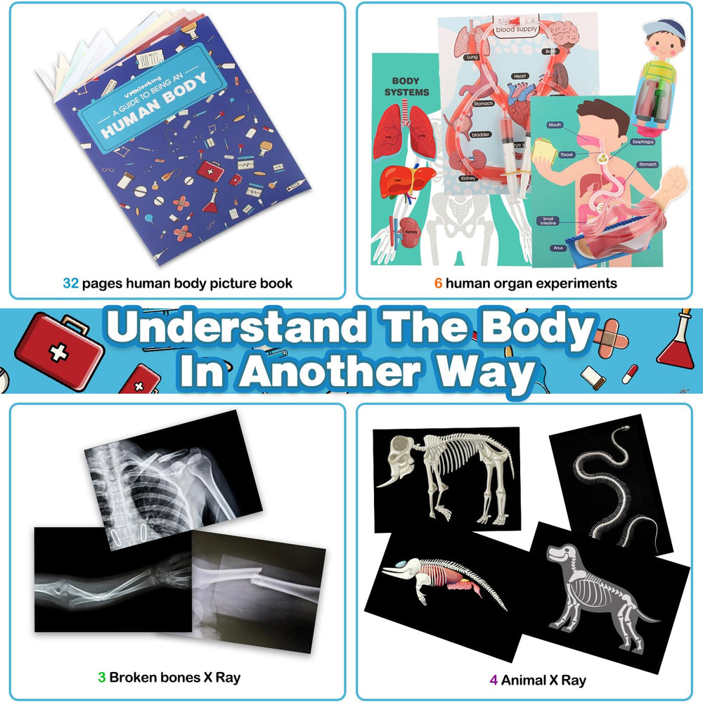 VMNlooking muscles and skeleton figures for practical anatomy practice.