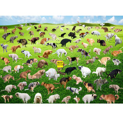 VOLUVOLU Puppy Poop Puzzle box image shows playful chaos for dog lovers.