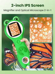 Vorth Microscope offers 500x magnification to reveal leaf veins and insect wings
