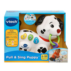 Puppy rolls with music for auditory enjoyment during play