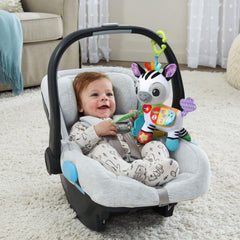 VTech Take Me With You Zebra peek-a-boo buttons teaching colors and numbers