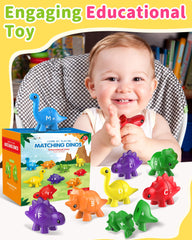 Walenty colorful durable plastic dinosaurs attract attention during early literacy practice.