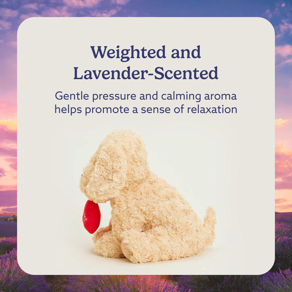 Warmies Dog Golden Be Mine lavender aroma enhances calm moments.