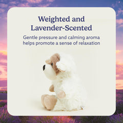 Warmies Puppy lavender-scented plush creates a gentle bedtime aroma.