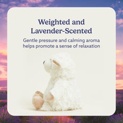 Warmies sheep plush chilled in freezer for a refreshing touch