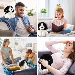 WarmPal Border Collie Plush in cuddle pose for bedtime comfort