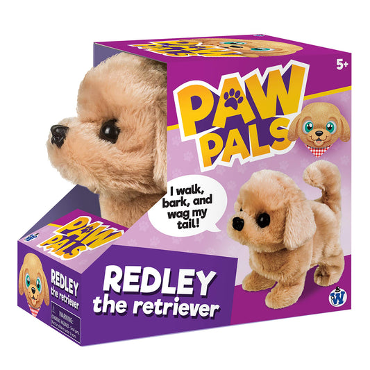 Westminster Redley Retriever walks for interactive indoor play.